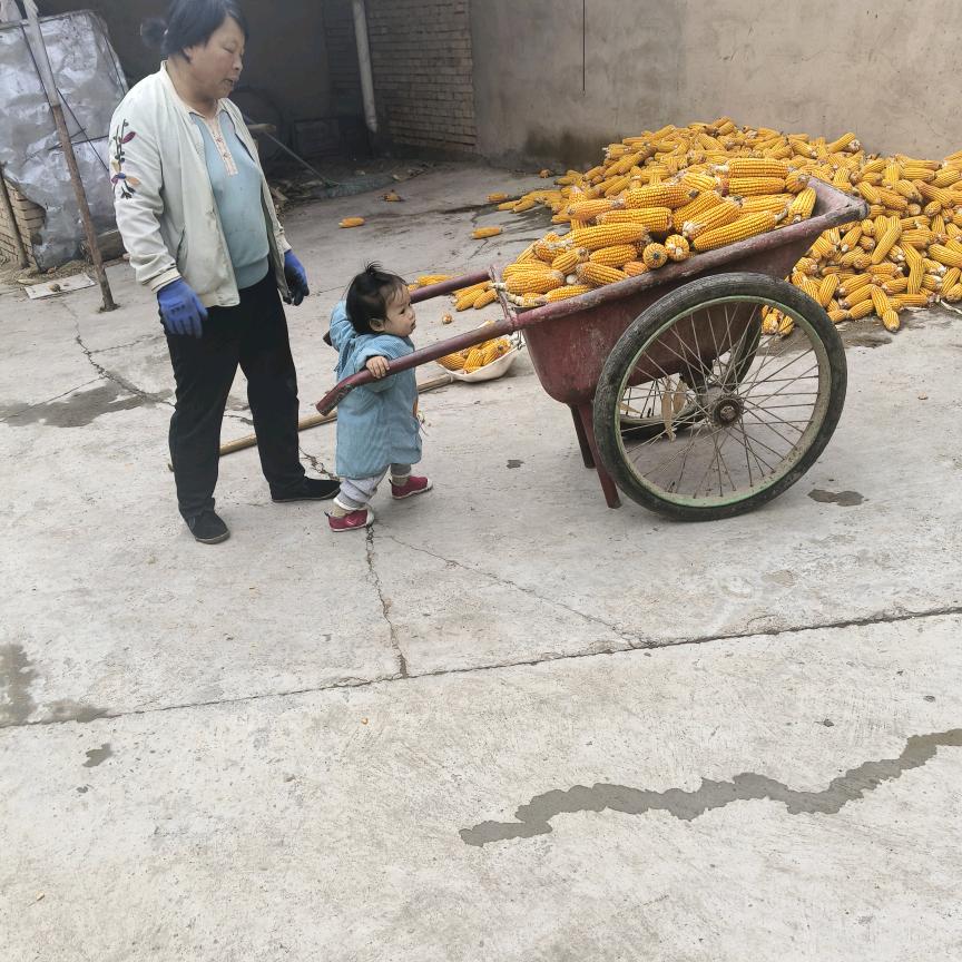 你的童年我的时光