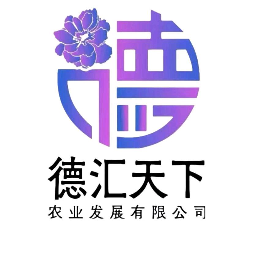 德汇天下王霞