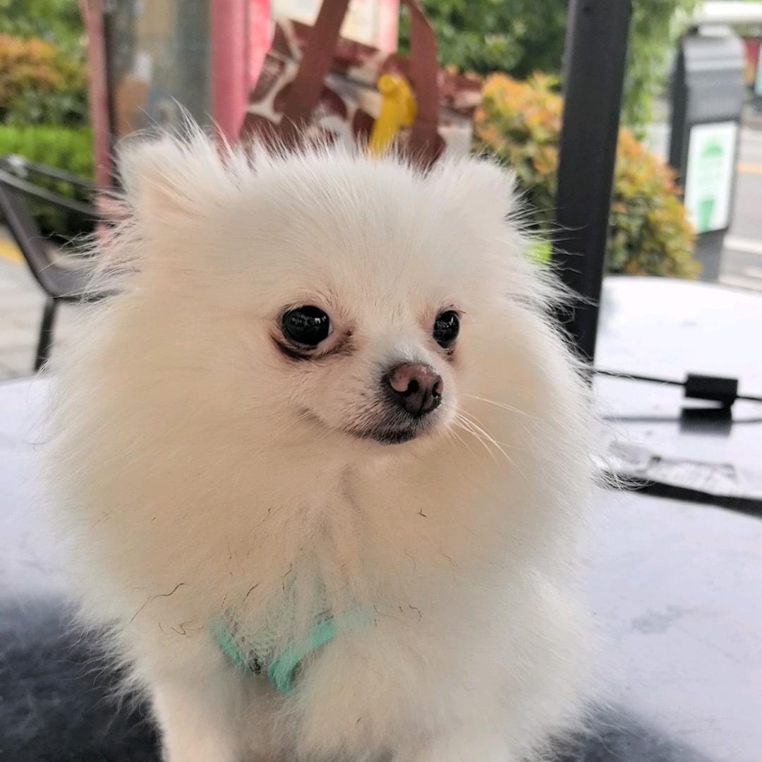 专注地面清洁