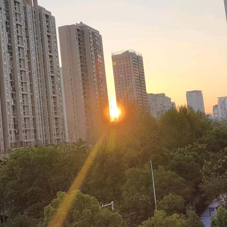 一个玉米吃不饱🌽