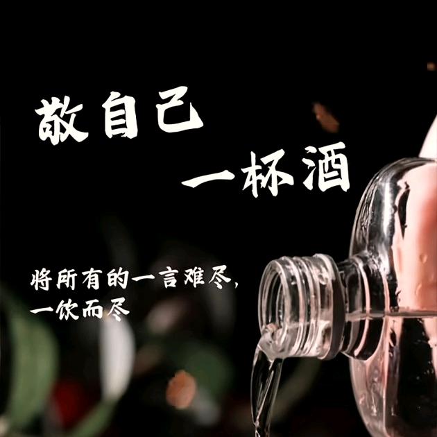 哥以不是少年