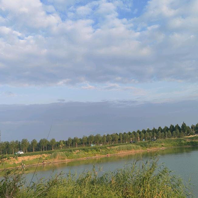 校园里的流浪猫