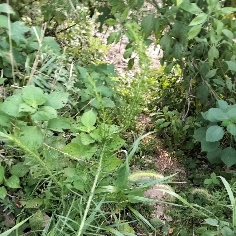 沫子爱分享