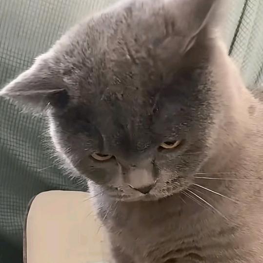 李锋