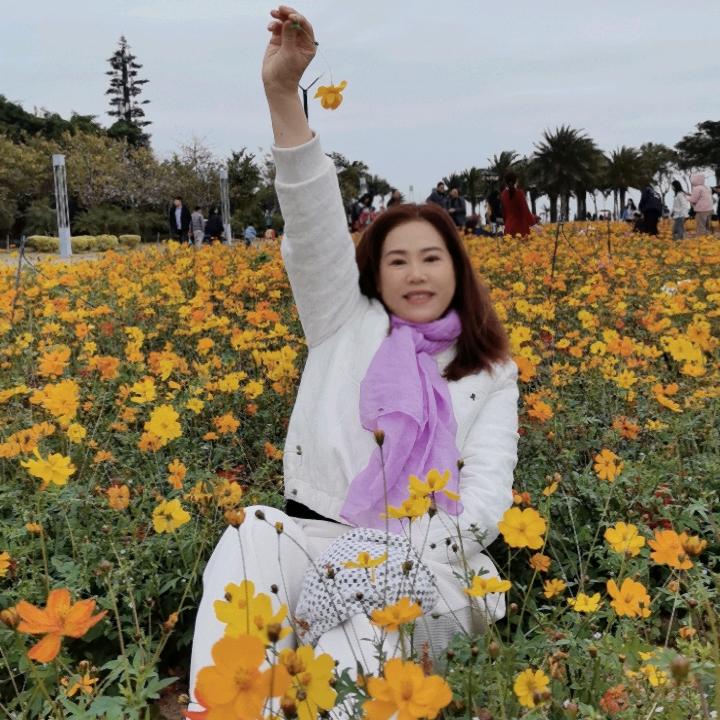 薰衣草