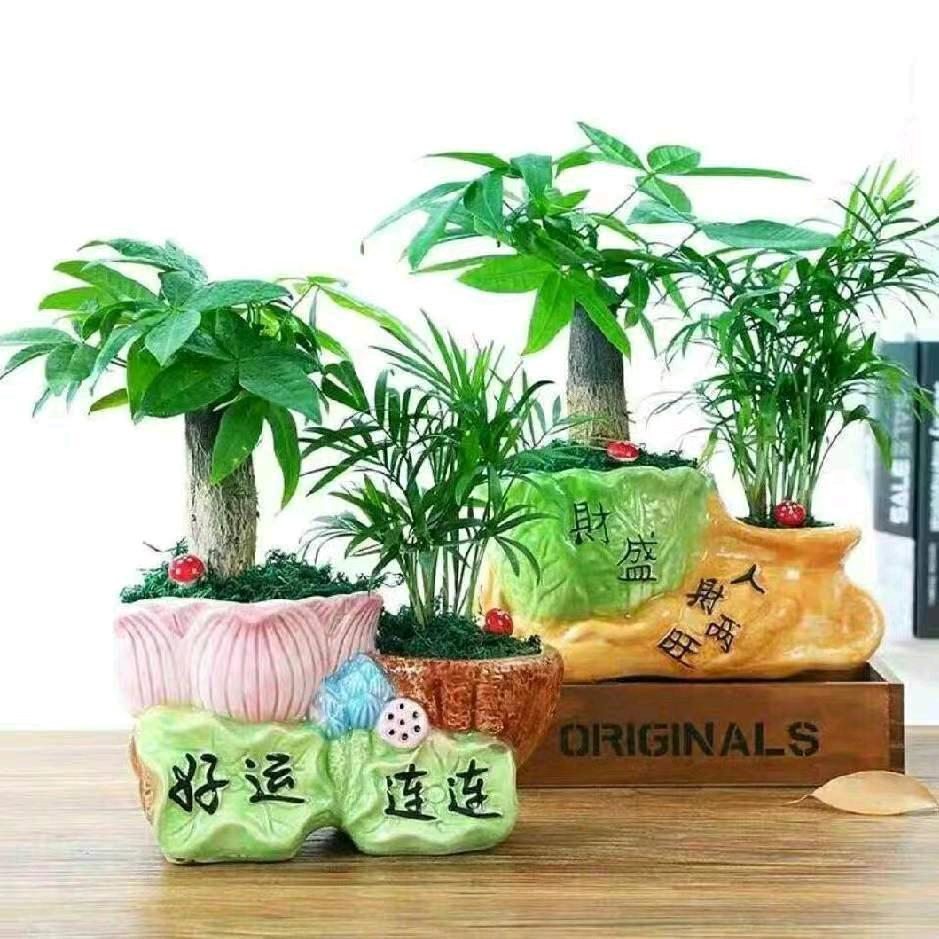 阿杰