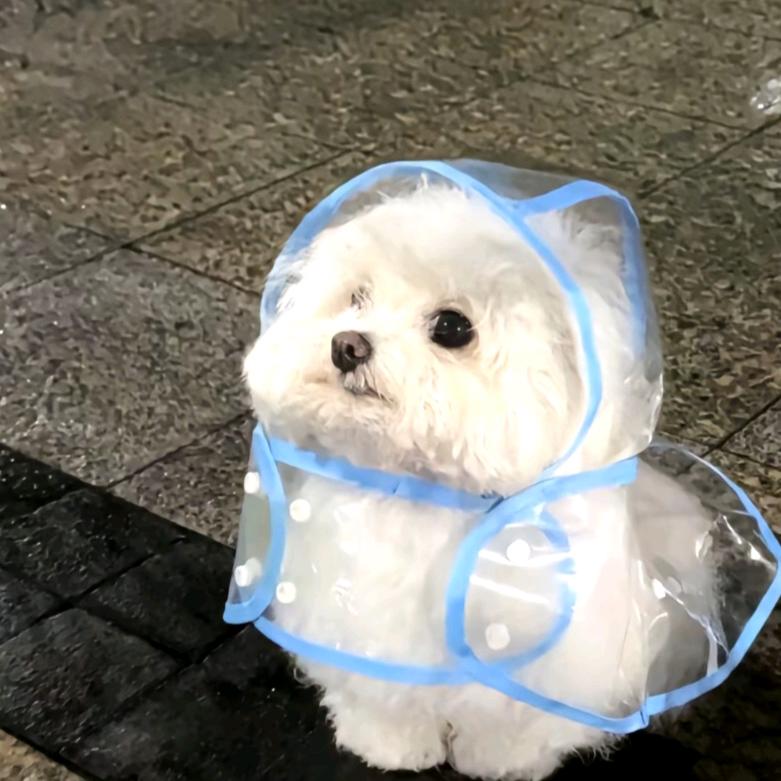 冷清予🍤
