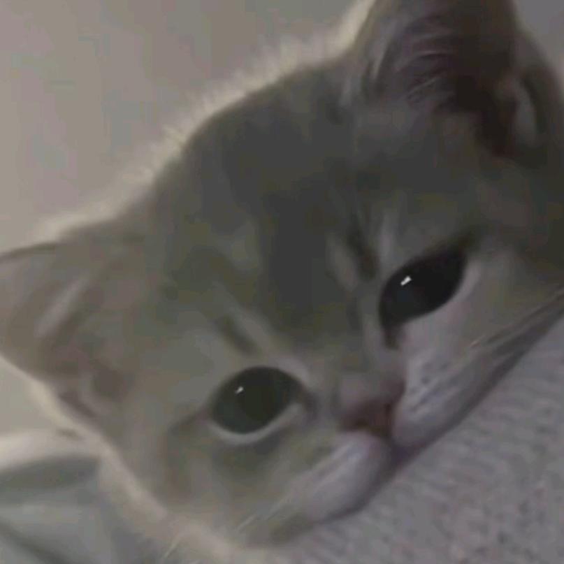 她说她有格调 没想到真是个格调