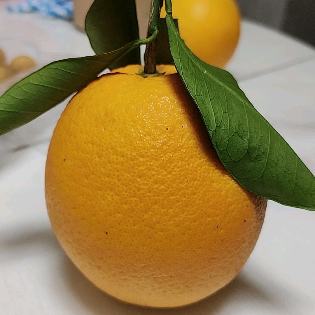 朵朵花