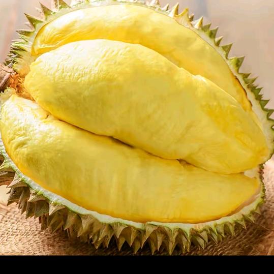 小容水果精选