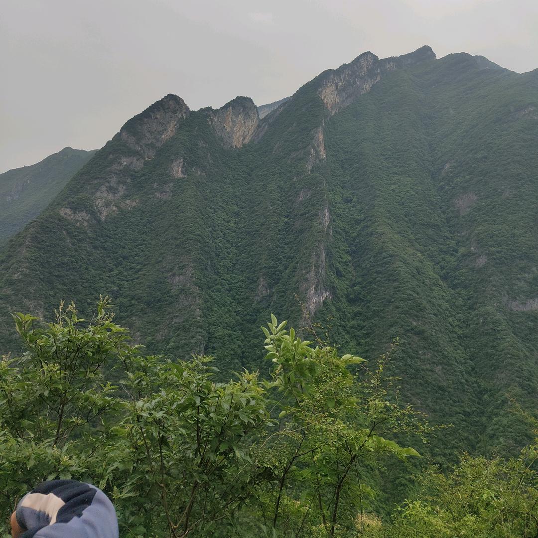 我的未来就是梦