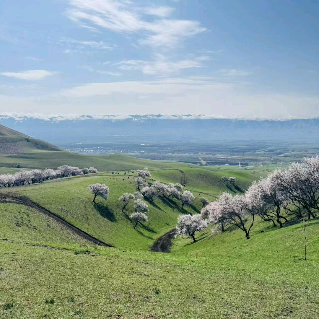 清苑二手门窗（收售）