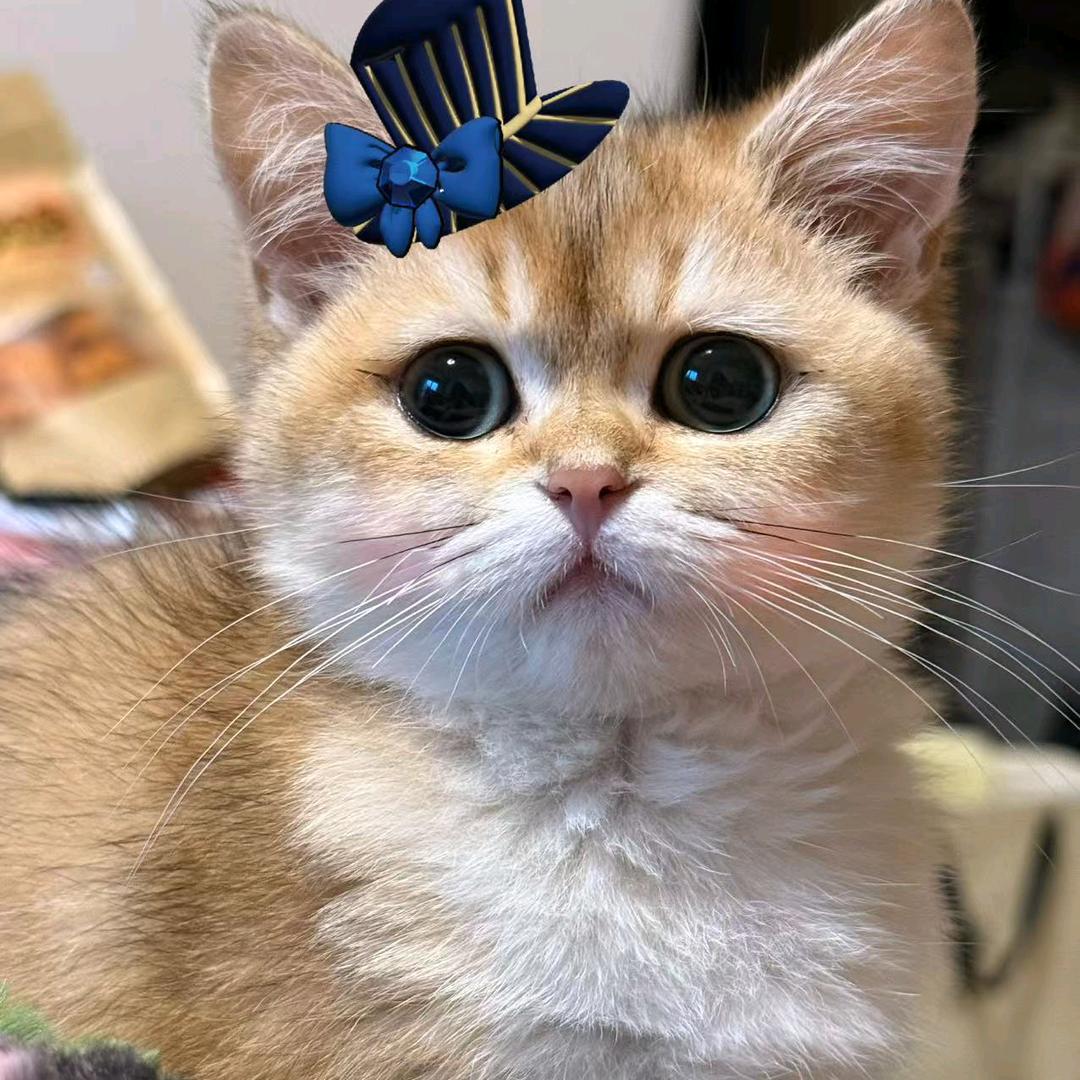 🌈彭小宝🌈