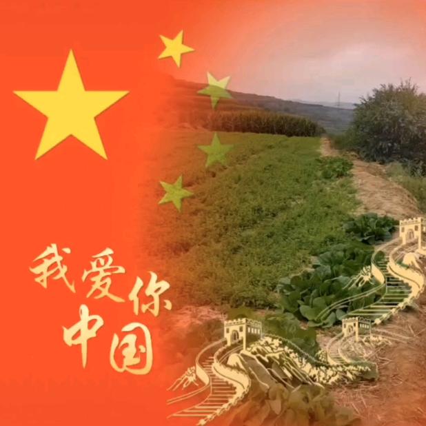 友谊药材种植