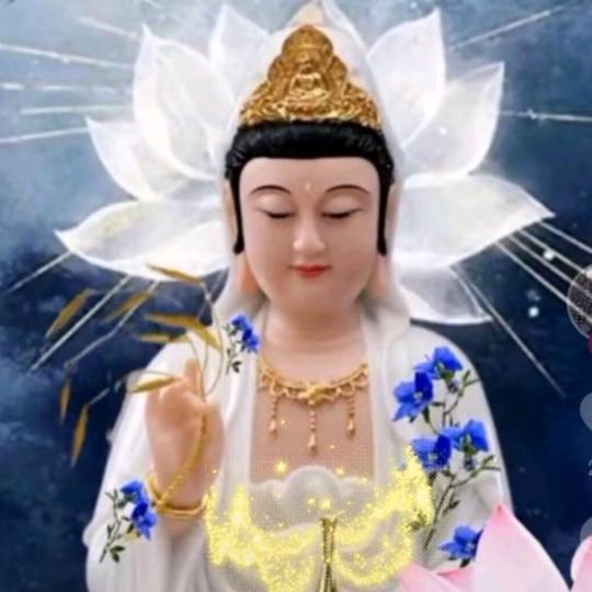 🌈时代麦田:砺志前行【25502】🌈