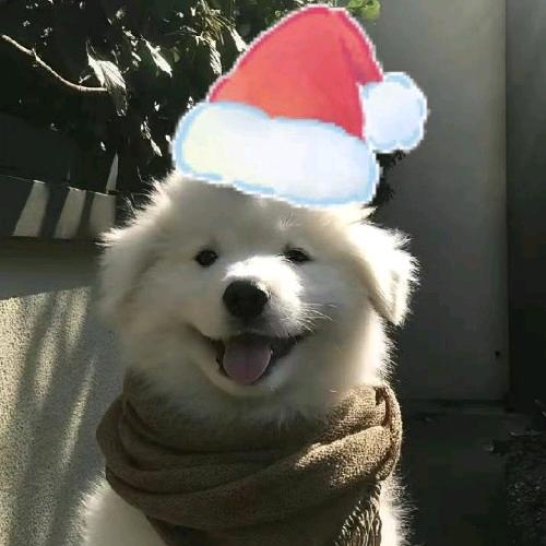 买彩票必中奖人群