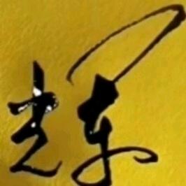 辉影随风