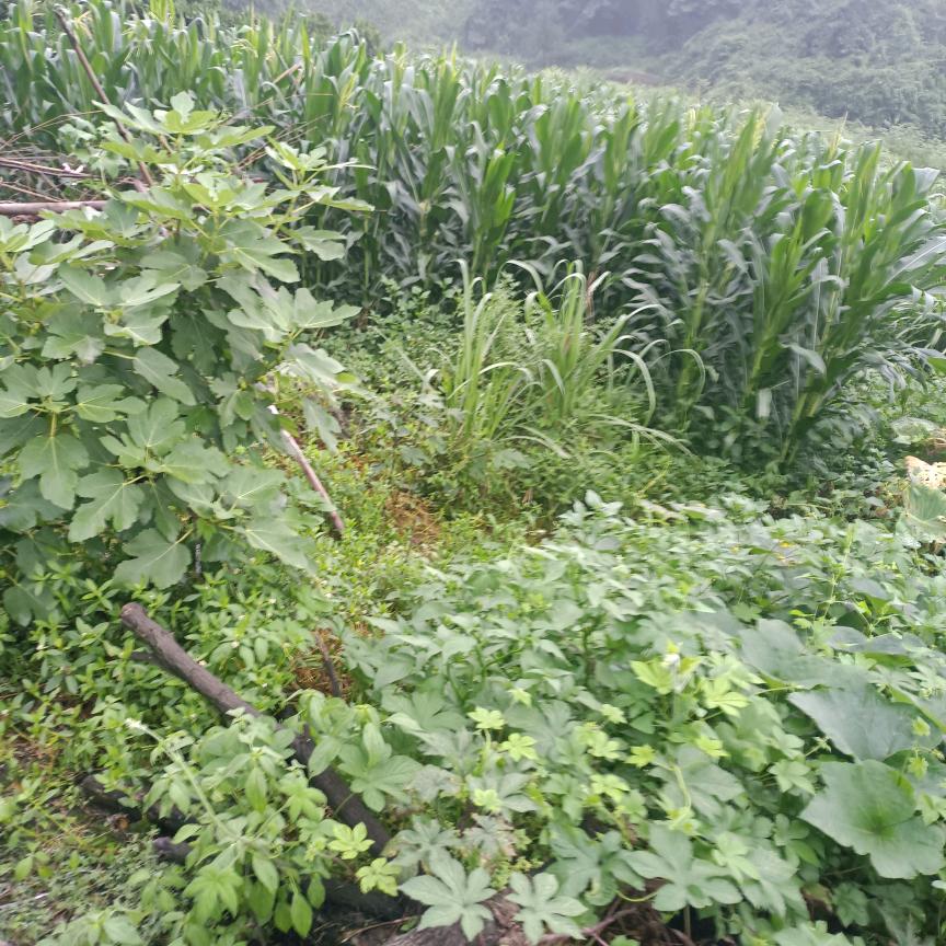 等待有缘人(单身)