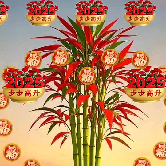 《王莹姐》谢谢家人们关注
