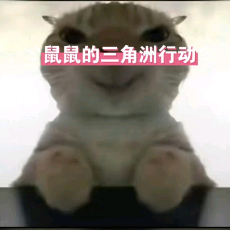 78跑刀三角洲