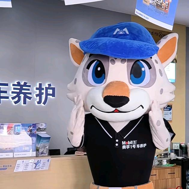 孟加美孚1号车养护