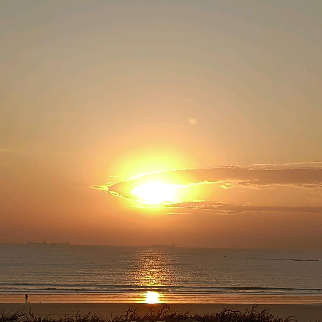 虎里糊涂