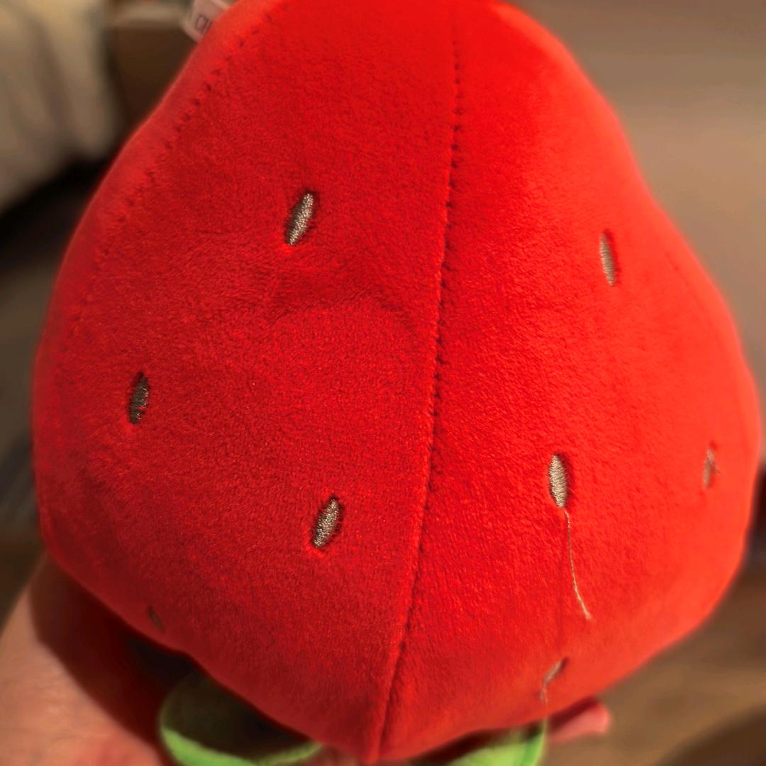 认真体验人生的小妹