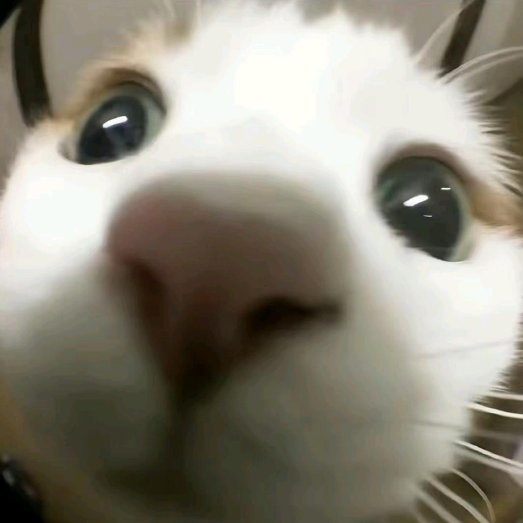阿珩