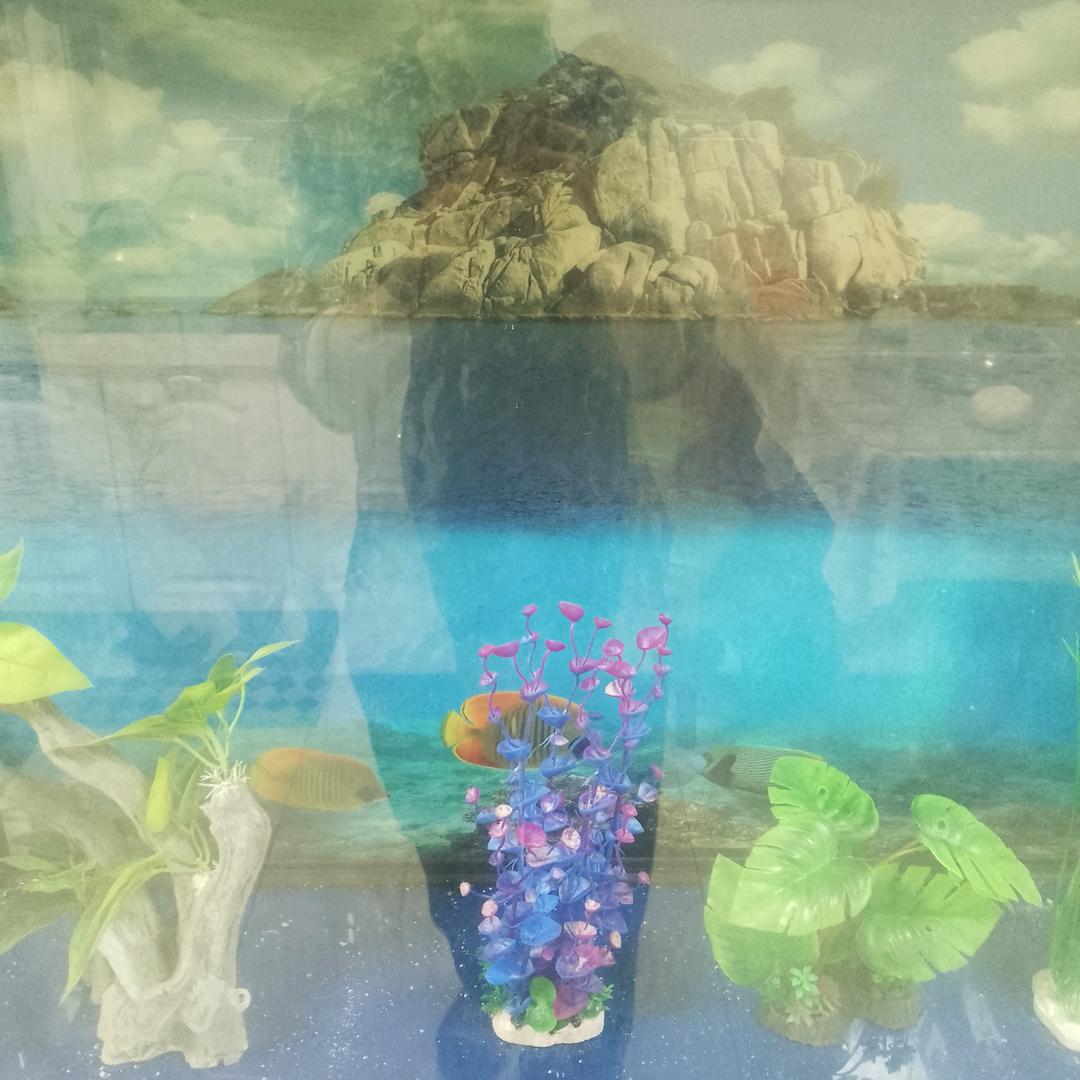 浪漫哥只看不刷