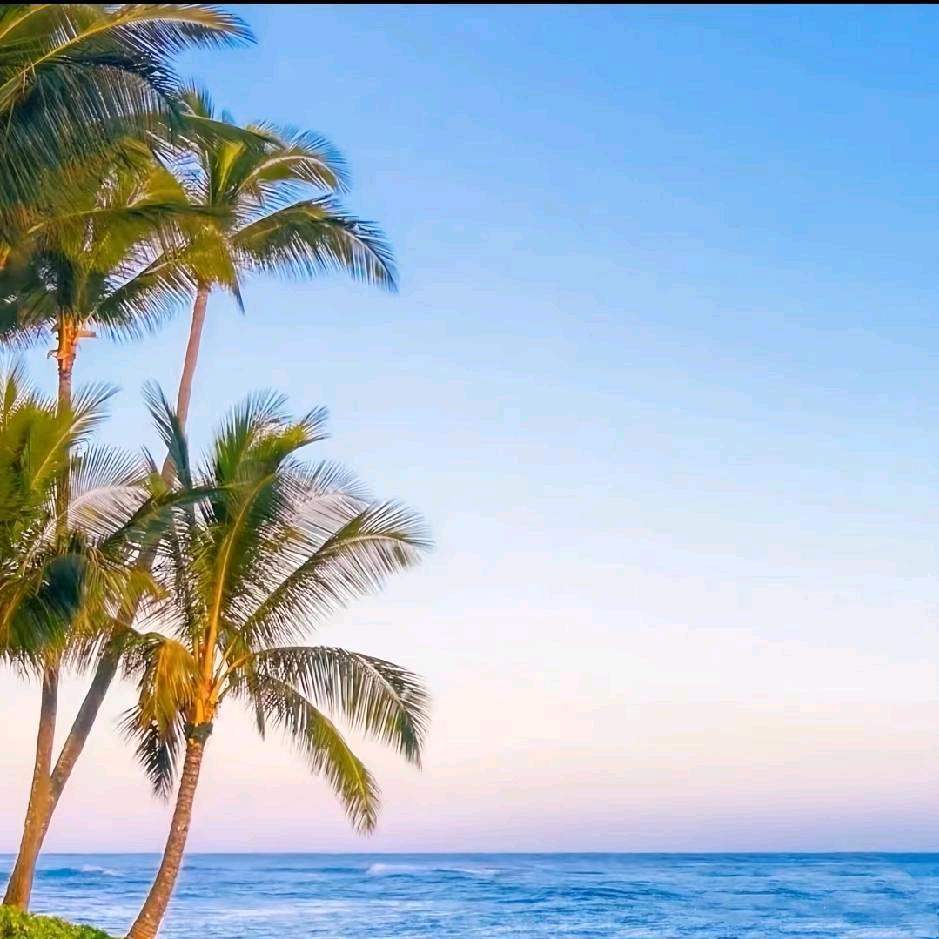 淡꧔ꦿ᭄然💞一꧔ꦿ᭄笑