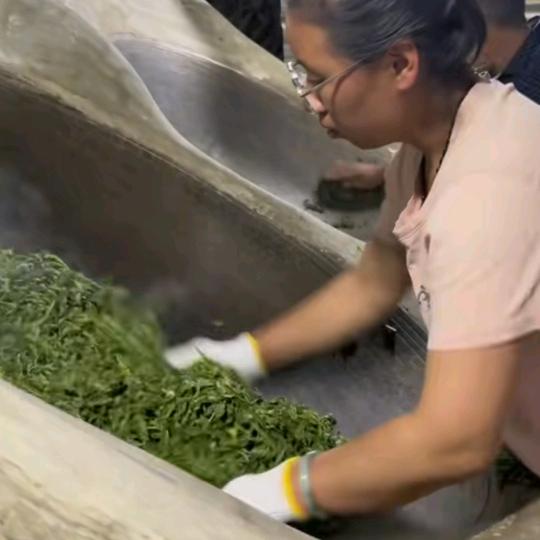 专注熟茶发酵(竹韵茗舍)