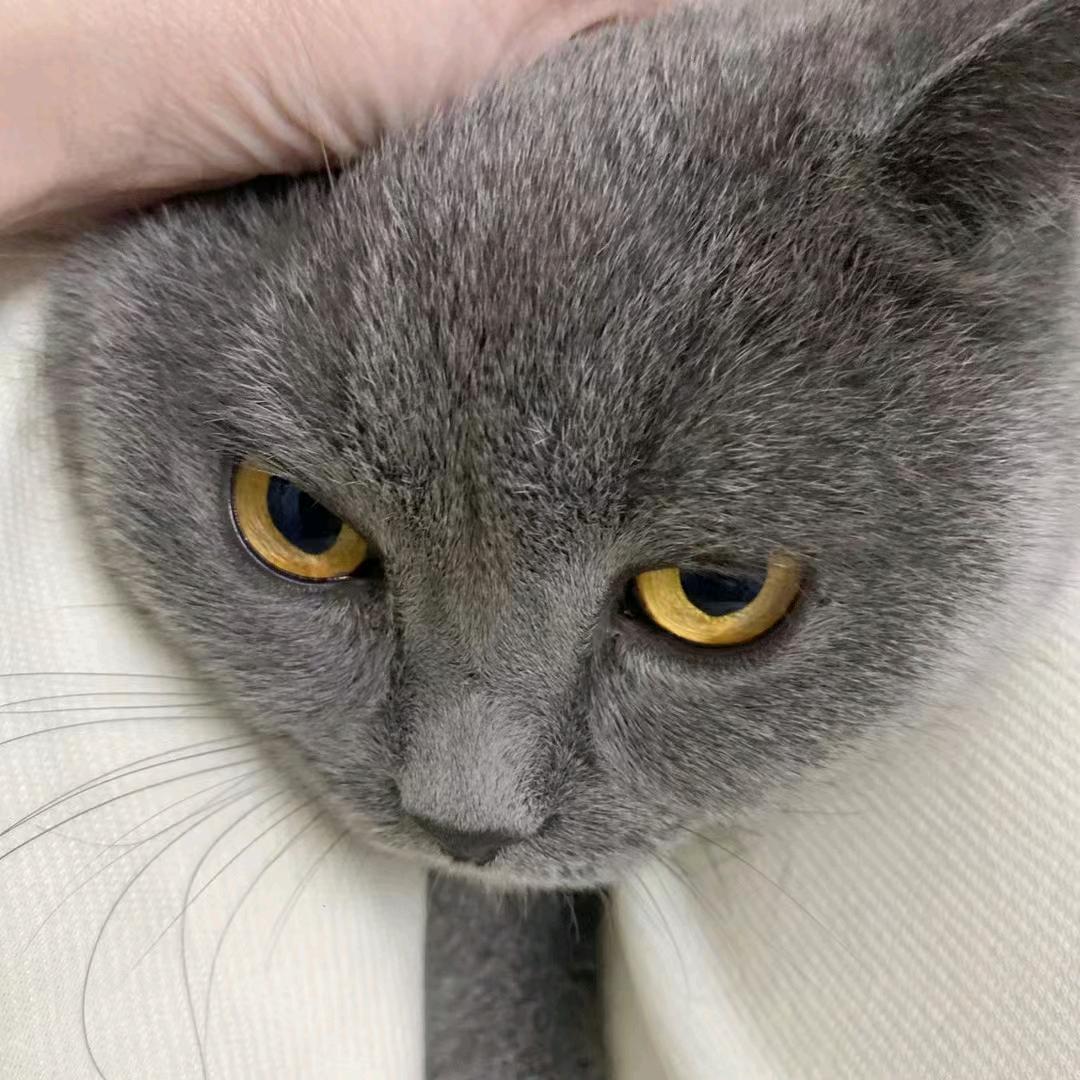 遇见散剧的你