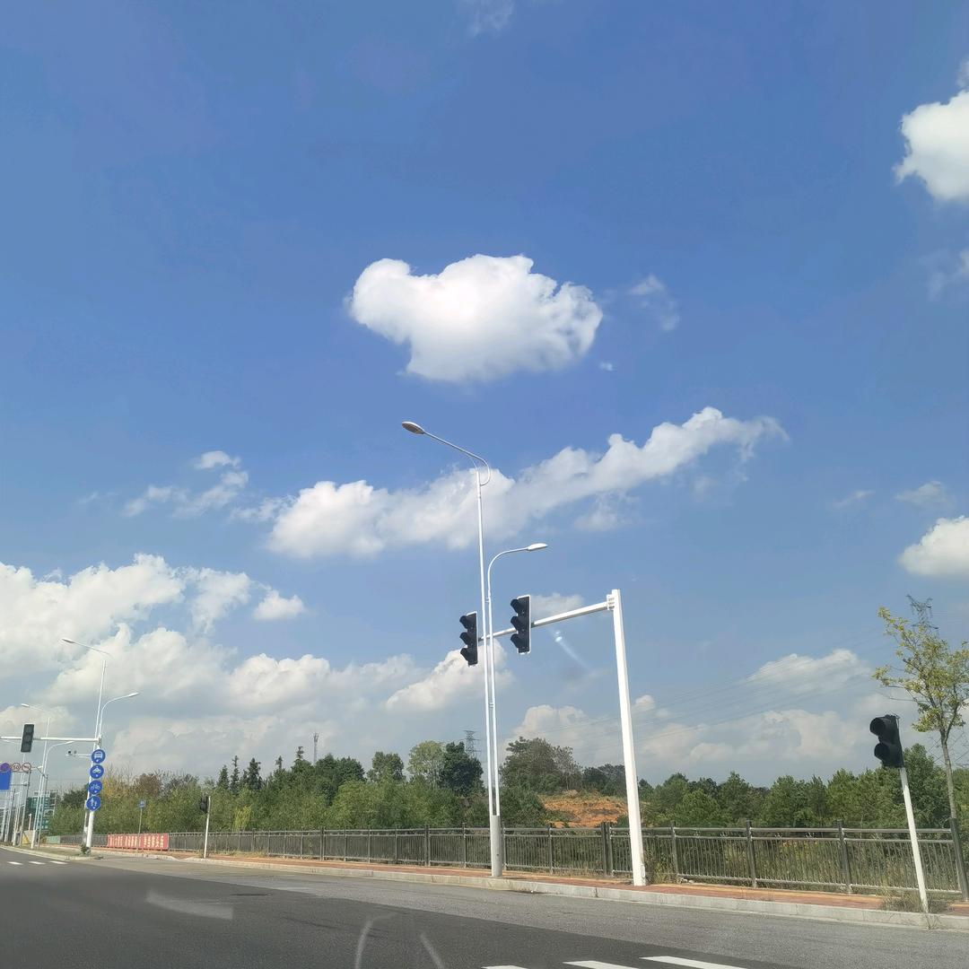 VlP快速学车（王教练）