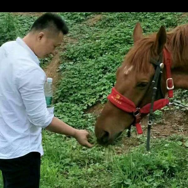 加油