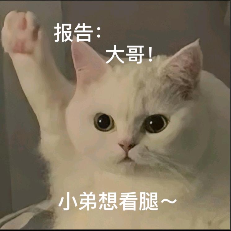 海苔肉松卷