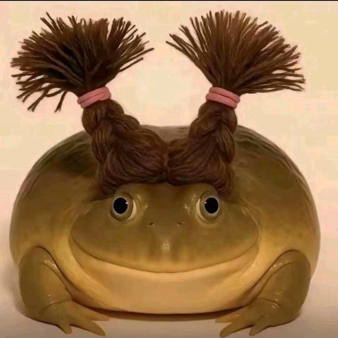 遇见的都是天意