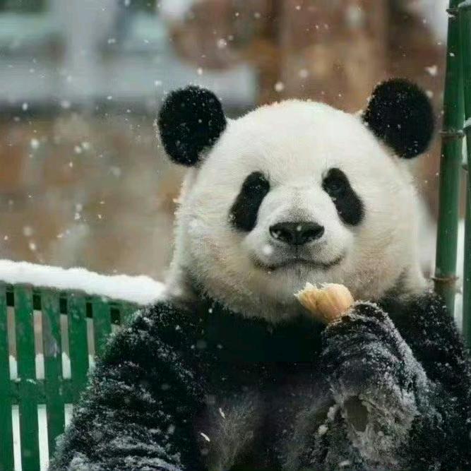左颜