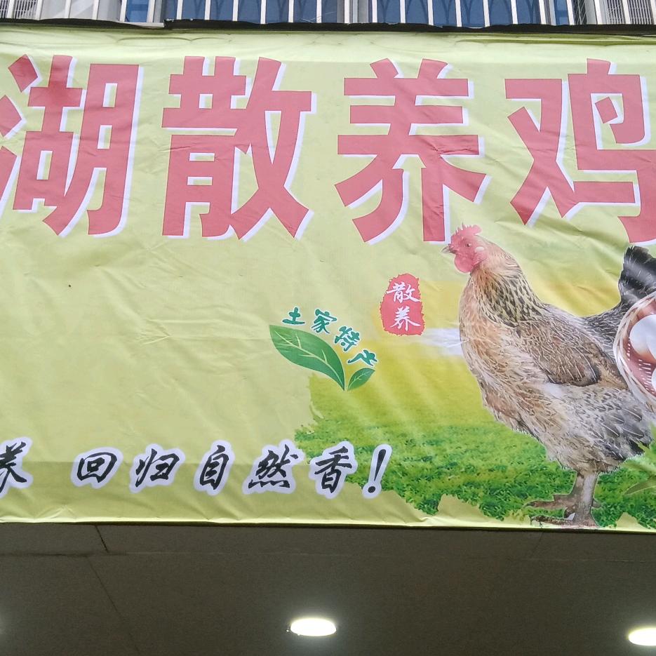 🇨🇳归湖散养鸡蛋🐓