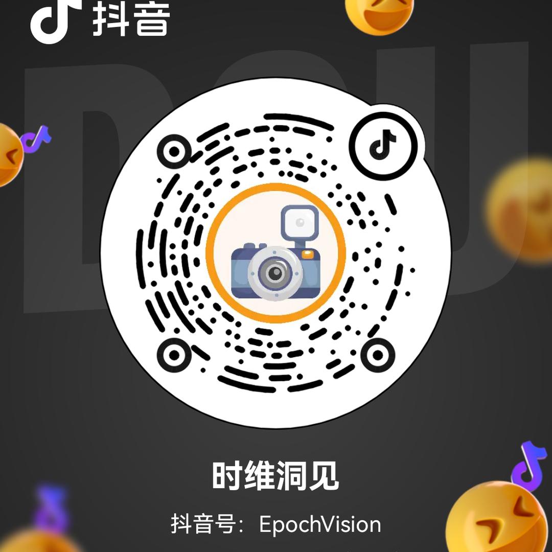 时维洞见