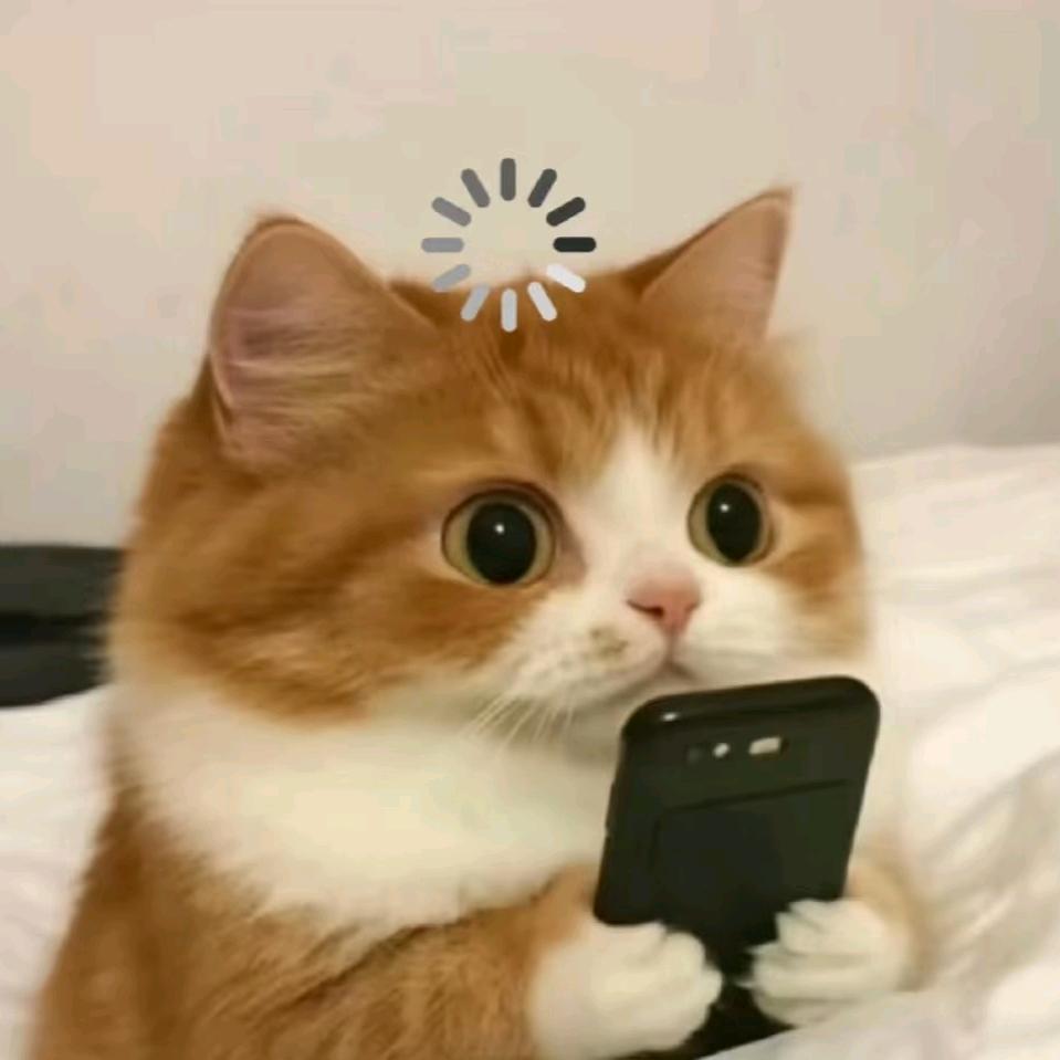 千千.