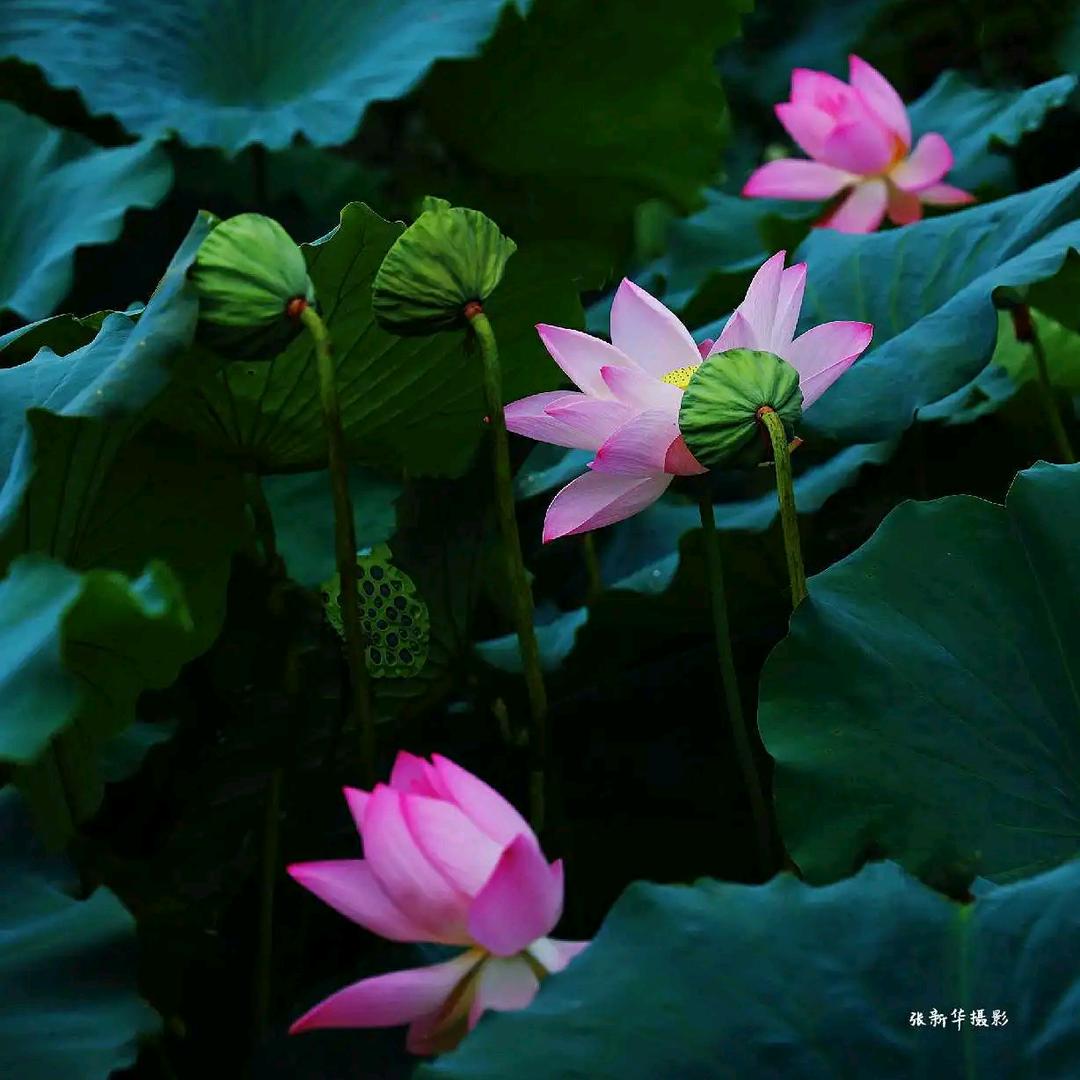 爱编织爱生活