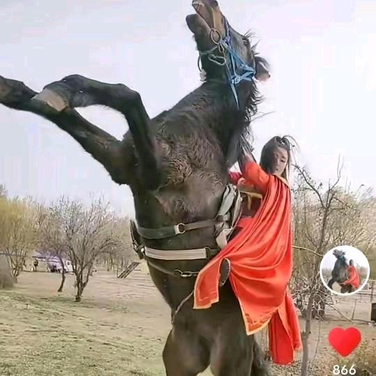 @我🏠是🌹赚🔦钱🔦来🔦养🌹家