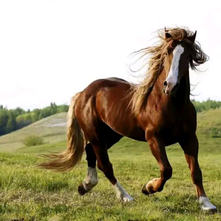 恒泰翔纸业元宝加工