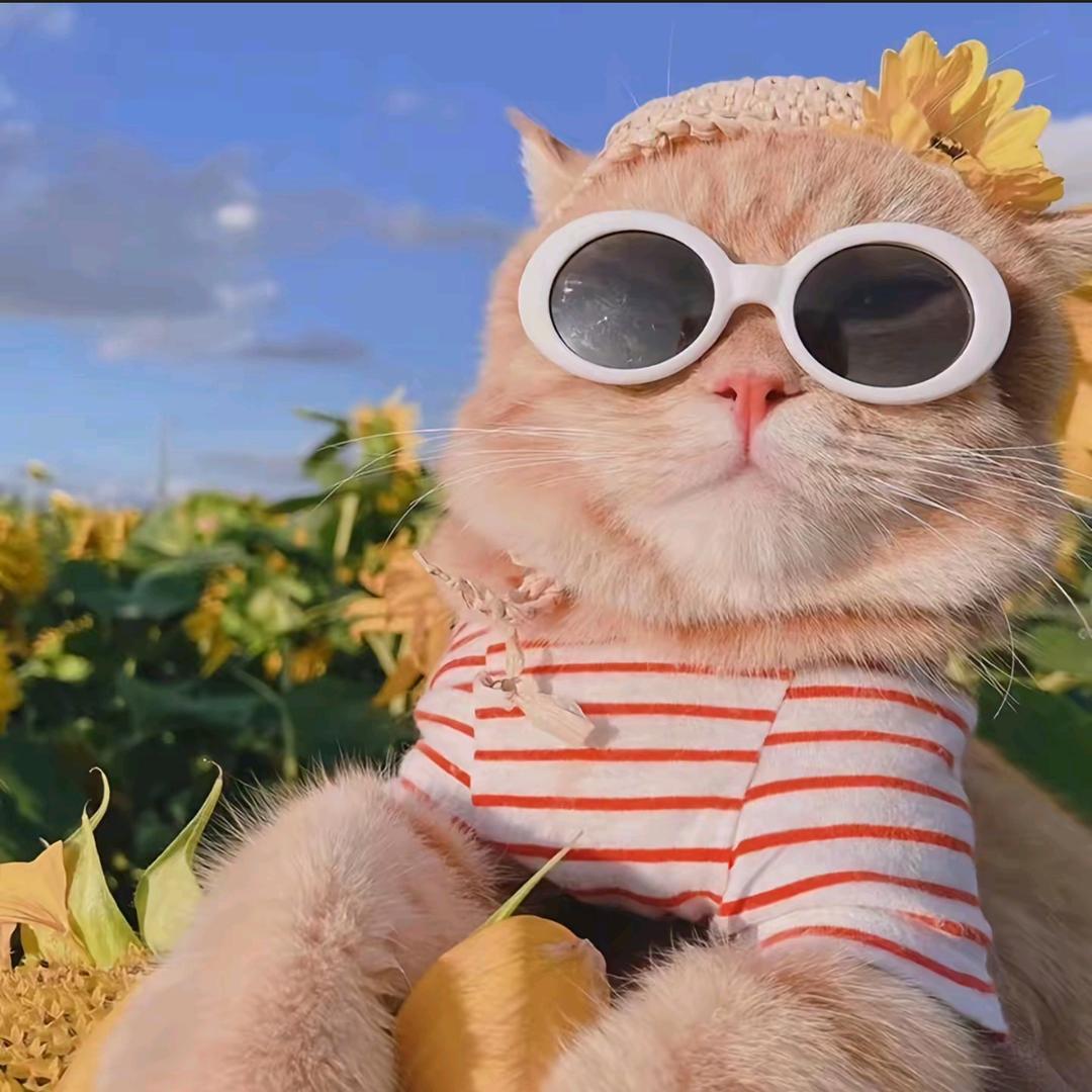 一只小兔兔（开学缓更）