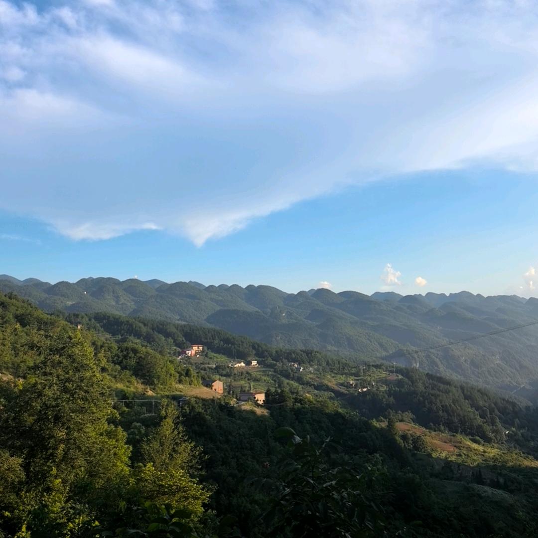 刚哥的抖音号