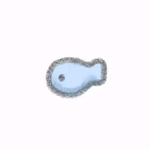 C₁₀H₁₄N₂
