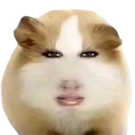 余生安好