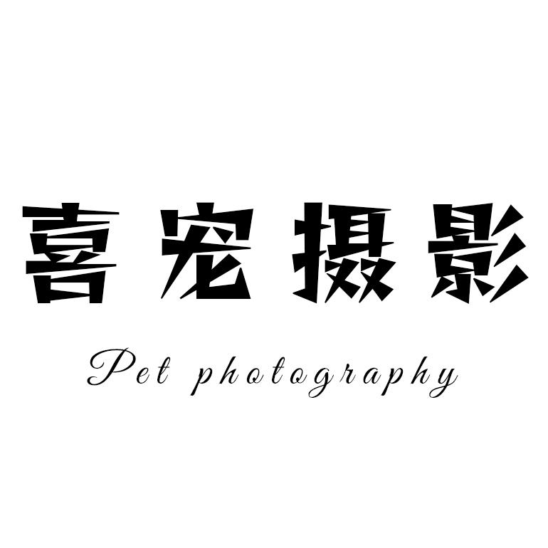 追焦糕手