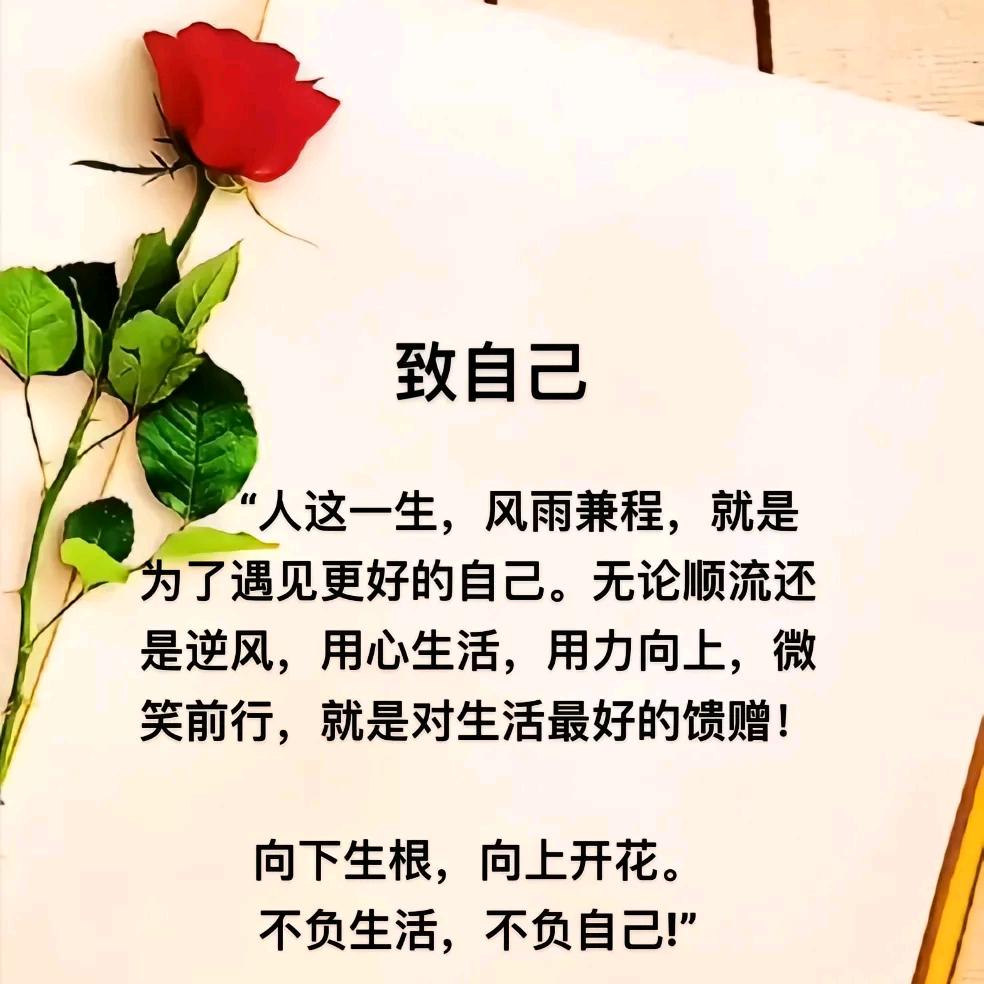 简单就好
