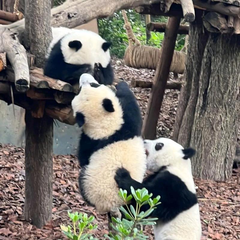 ღ᭄余生🕊随心꧔ꦿ᭄